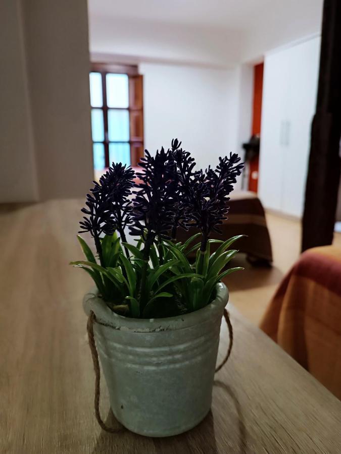 Corrala De San Anton. Sencillo Apartamento En Pleno Centro Grenada Zewnętrze zdjęcie